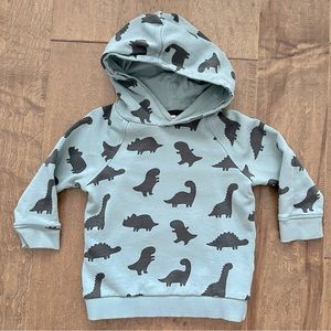 Dinosaur Hoodie Sweatshirt for Toddler Boy